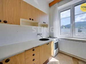 Prodej bytu 1+1, Jeseník, Školní, 73 m2