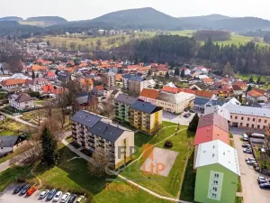 Prodej rodinného domu, Vyšší Brod, Míru, 793 m2