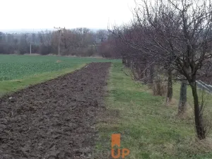 Prodej pozemku pro bydlení, Heřmanův Městec, 13343 m2