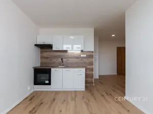 Pronájem bytu 2+kk, Most, Lidická, 33 m2