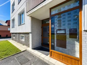 Pronájem bytu 3+1, Chomutov, Matěje Kopeckého, 67 m2