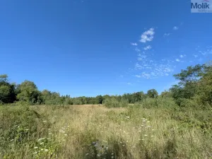 Prodej pozemku pro bydlení, Mariánské Radčice, Československé armády, 998 m2