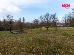 Prodej zemědělské usedlosti, Březová - Lesní Albrechtice, 110 m2