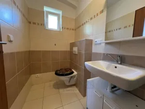 Pronájem bytu 1+kk, Hosín, 25 m2