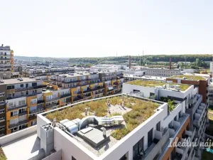 Pronájem bytu 2+kk, Praha - Vysočany, Gerstelova, 55 m2