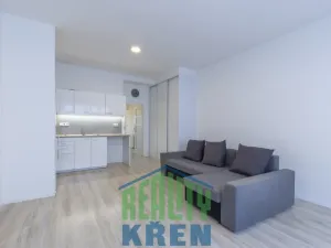 Prodej bytu 2+kk, Praha - Žižkov, Křišťanova, 49 m2