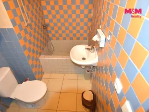 Pronájem obchodního prostoru, Mladá Boleslav - Mladá Boleslav II, Lukášova, 44 m2