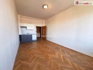 Pronájem bytu 1+kk, Praha - Vinohrady, Jana Masaryka, 28 m2