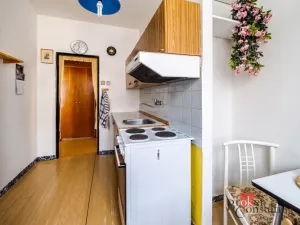 Prodej bytu 2+1, Praha - Záběhlice, U mlýna, 56 m2
