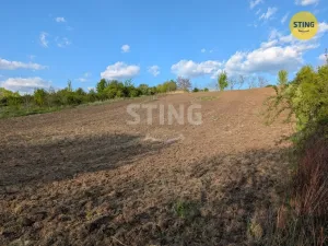 Prodej zahrady, Nosislav, 4322 m2