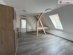 Pronájem bytu 2+kk, Město Touškov, Čemínská, 48 m2