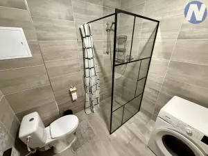 Pronájem bytu 1+kk, Lenora - Houžná, 40 m2