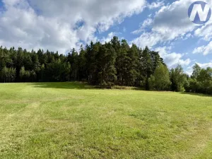 Pronájem bytu 1+kk, Lenora - Houžná, 40 m2