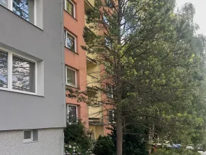 Prodej bytu 1+1, Frýdek-Místek, Bruzovská, 37 m2