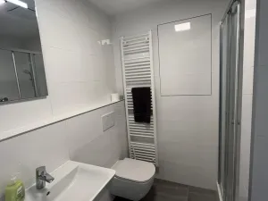 Pronájem bytu 1+kk, Brno, Ondřeje Sekory, 41 m2