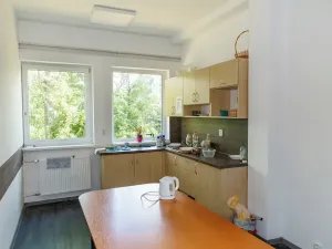 Prodej výrobních prostor, Dubí, Horská, 3047 m2