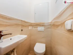 Prodej bytu 2+1, Praha - Žižkov, Buková, 54 m2