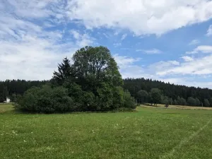 Prodej pozemku pro bydlení, Nová Pec, 2165 m2