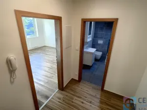 Pronájem bytu 1+kk, Rychnov u Jablonce nad Nisou, Mlýnská, 38 m2