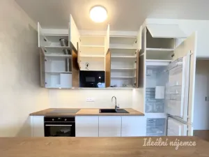 Pronájem bytu 2+kk, Praha - Vysočany, Pechmanových, 57 m2