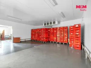 Pronájem obchodního prostoru, Červený Kostelec, Sokolská, 726 m2