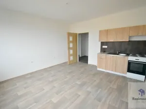 Pronájem bytu 1+1, Ústí nad Labem - Severní Terasa, Šrámkova, 41 m2