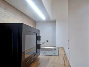 Pronájem bytu 1+kk, Ostrava - Přívoz, Palackého, 26 m2