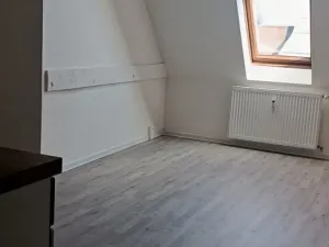 Pronájem bytu 1+kk, Ostrava - Přívoz, Palackého, 26 m2