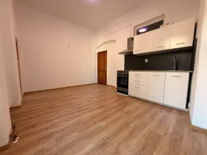 Pronájem bytu 1+kk, Ústí nad Labem - Ústí nad Labem-centrum, Moskevská, 30 m2