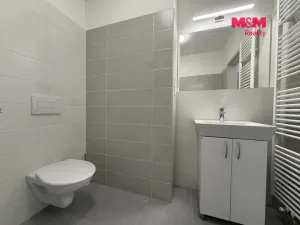 Pronájem bytu 1+kk, Prostějov - Čechovice, Na Lukách, 34 m2