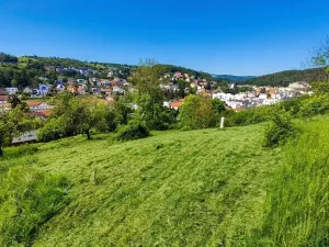 Prodej pozemku pro bydlení, Luhačovice, 1833 m2