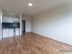Pronájem bytu 1+kk, Praha - Břevnov, Na břevnovské pláni, 27 m2