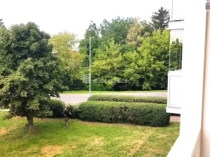 Prodej bytu 3+1, Rousínov, V Sídlišti, 74 m2