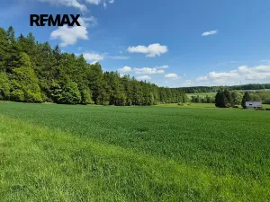 Prodej pozemku pro bydlení, Borová, 7429 m2