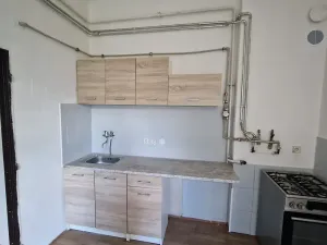 Pronájem bytu 1+1, Děčín, Podmokelská, 44 m2