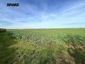 Prodej pozemku pro bydlení, Chrast, Dukelská, 4084 m2