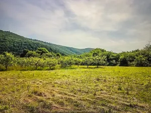 Prodej pozemku pro bydlení, Štěpánovice, 2701 m2