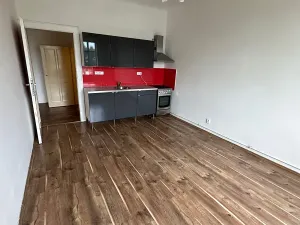 Pronájem bytu 2+kk, Praha - Žižkov, Hartigova, 56 m2