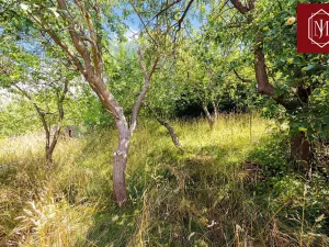 Prodej rodinného domu, Třešť, Partlicova, 199 m2