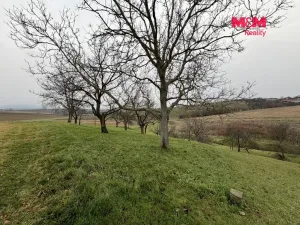 Prodej zahrady, Bezuchov, 901 m2
