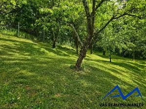 Prodej rodinného domu, Biskupice - Zálesí, 51 m2