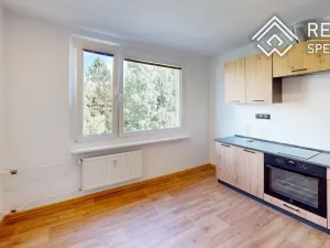 Pronájem bytu 1+1, Ústí nad Orlicí, Heranova, 36 m2