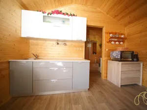 Prodej chaty, Třebíč - Borovina, 36 m2