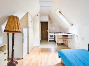 Prodej vícegeneračního domu, Šternberk, Puškinova, 239 m2