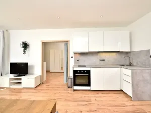 Pronájem bytu 3+kk, Praha - Bubeneč, dr. Zikmunda Wintra, 74 m2
