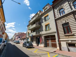 Prodej bytu 2+kk, České Budějovice - České Budějovice 3, Riegrova, 46 m2