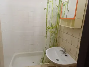 Pronájem bytu 1+kk, Frýdlant nad Ostravicí, Harcovská, 34 m2