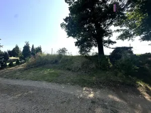 Prodej zahrady, Těšovice, 529 m2