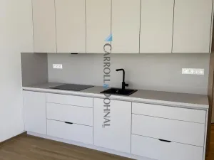 Pronájem bytu 1+kk, Ostrava - Slezská Ostrava, U Hájenky, 34 m2
