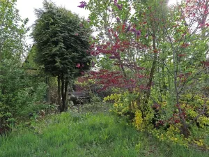 Prodej pozemku pro bydlení, Petřvald, Nová, 394 m2